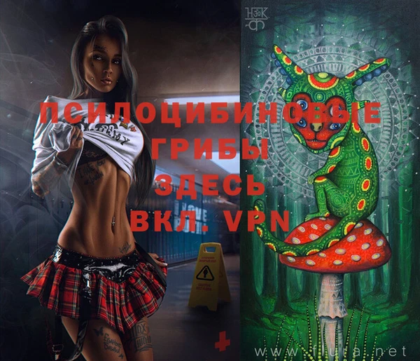кокаин премиум Белокуриха