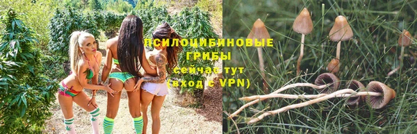 кокаин премиум Белокуриха