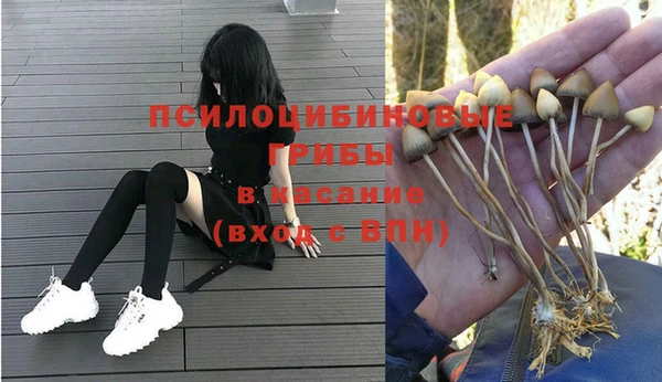 кокаин премиум Белокуриха