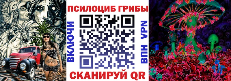 площадка какой сайт  Буйнакск  МЕГА ССЫЛКА  Псилоцибиновые грибы Psilocybine cubensis  где купить  